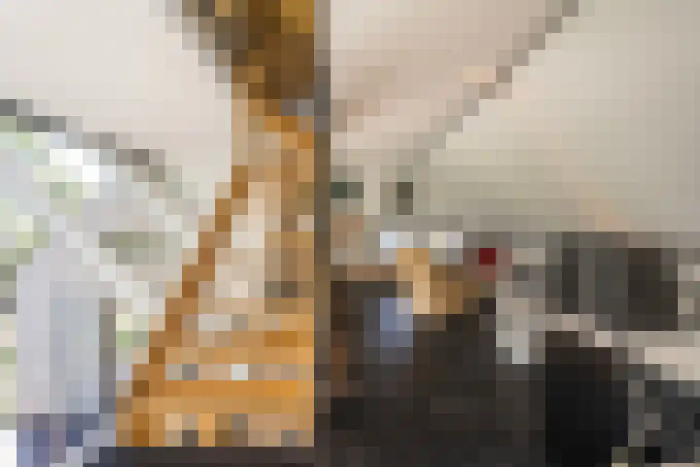 Liskesweg 2 A Nederweert thumbnail 36