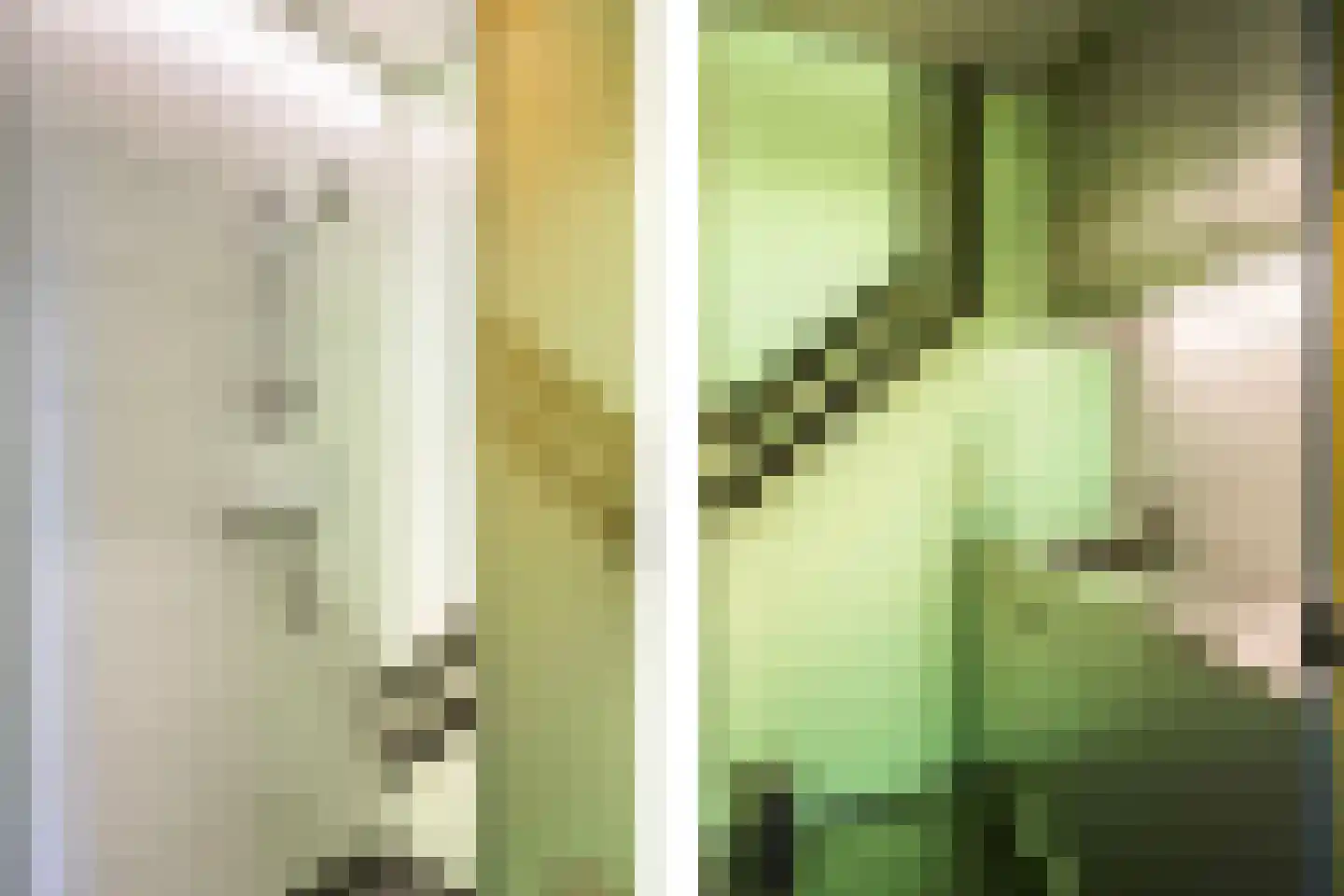 Liskesweg 2 A Nederweert thumbnail 40