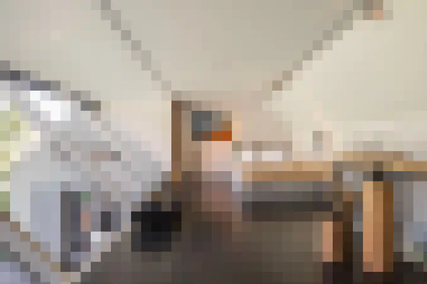 Liskesweg 2 A Nederweert thumbnail 42