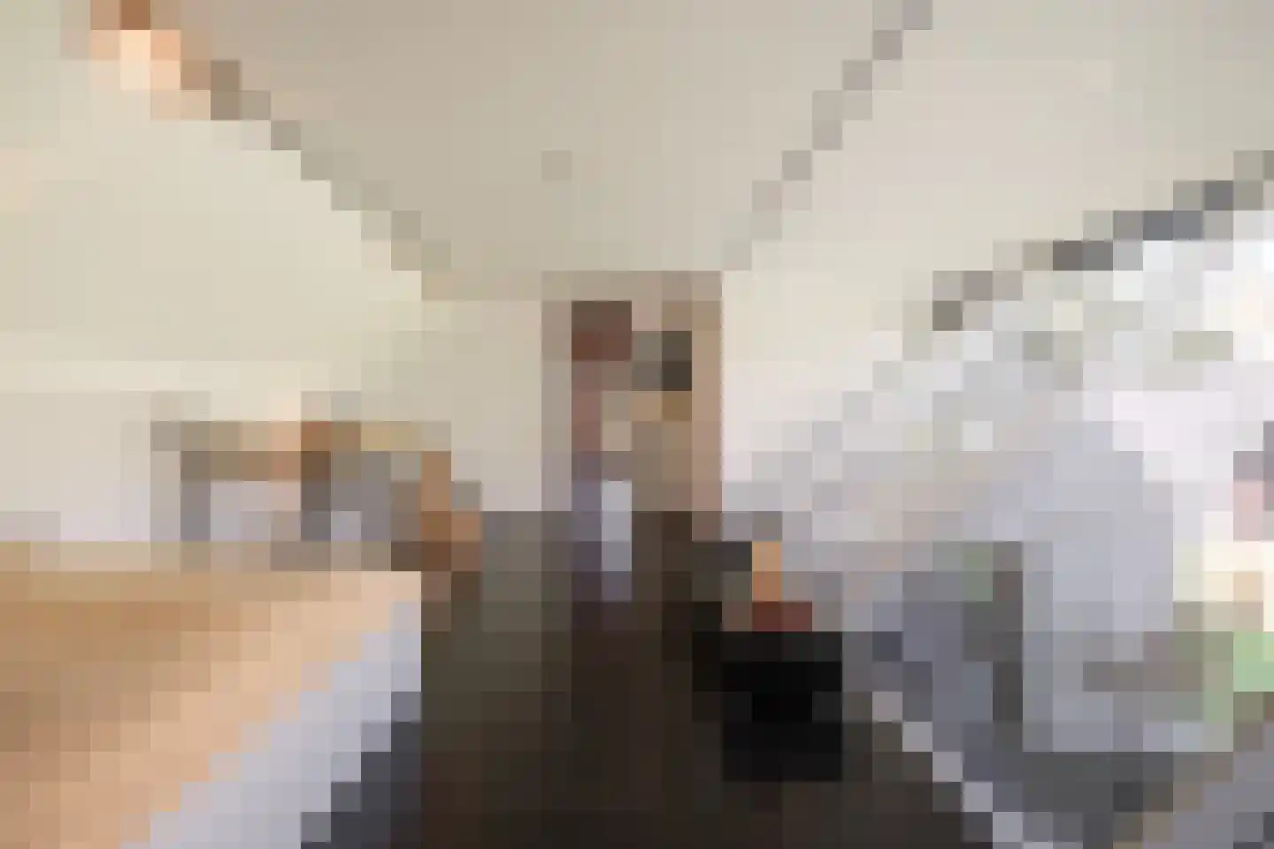 Liskesweg 2 A Nederweert thumbnail 43
