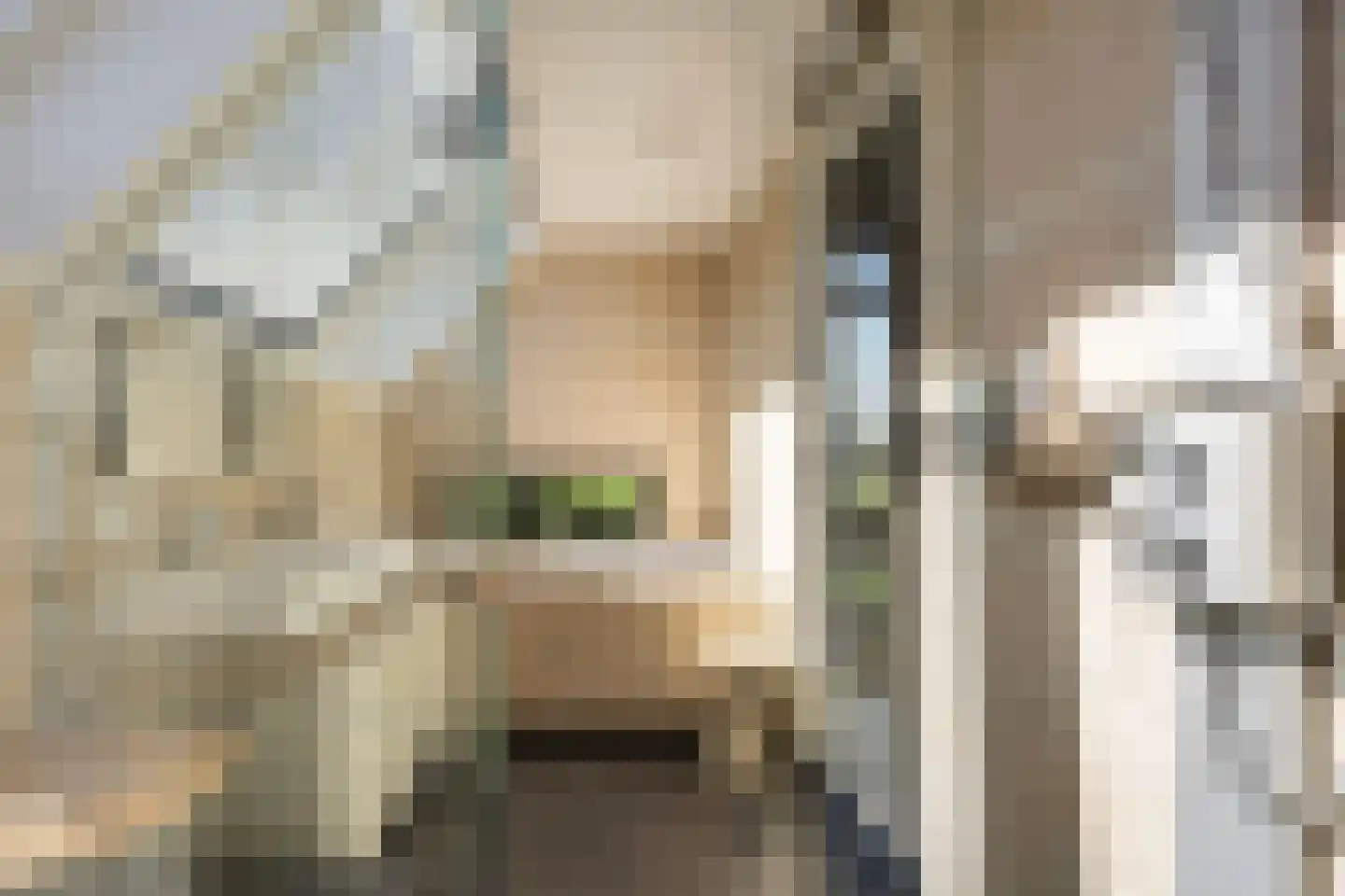 Liskesweg 2 A Nederweert thumbnail 46