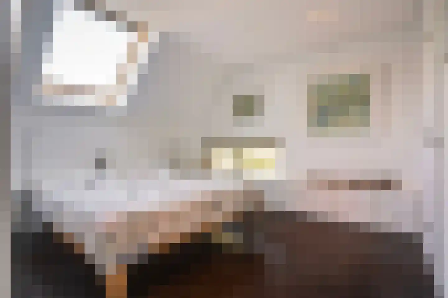 Liskesweg 2 A Nederweert thumbnail 49