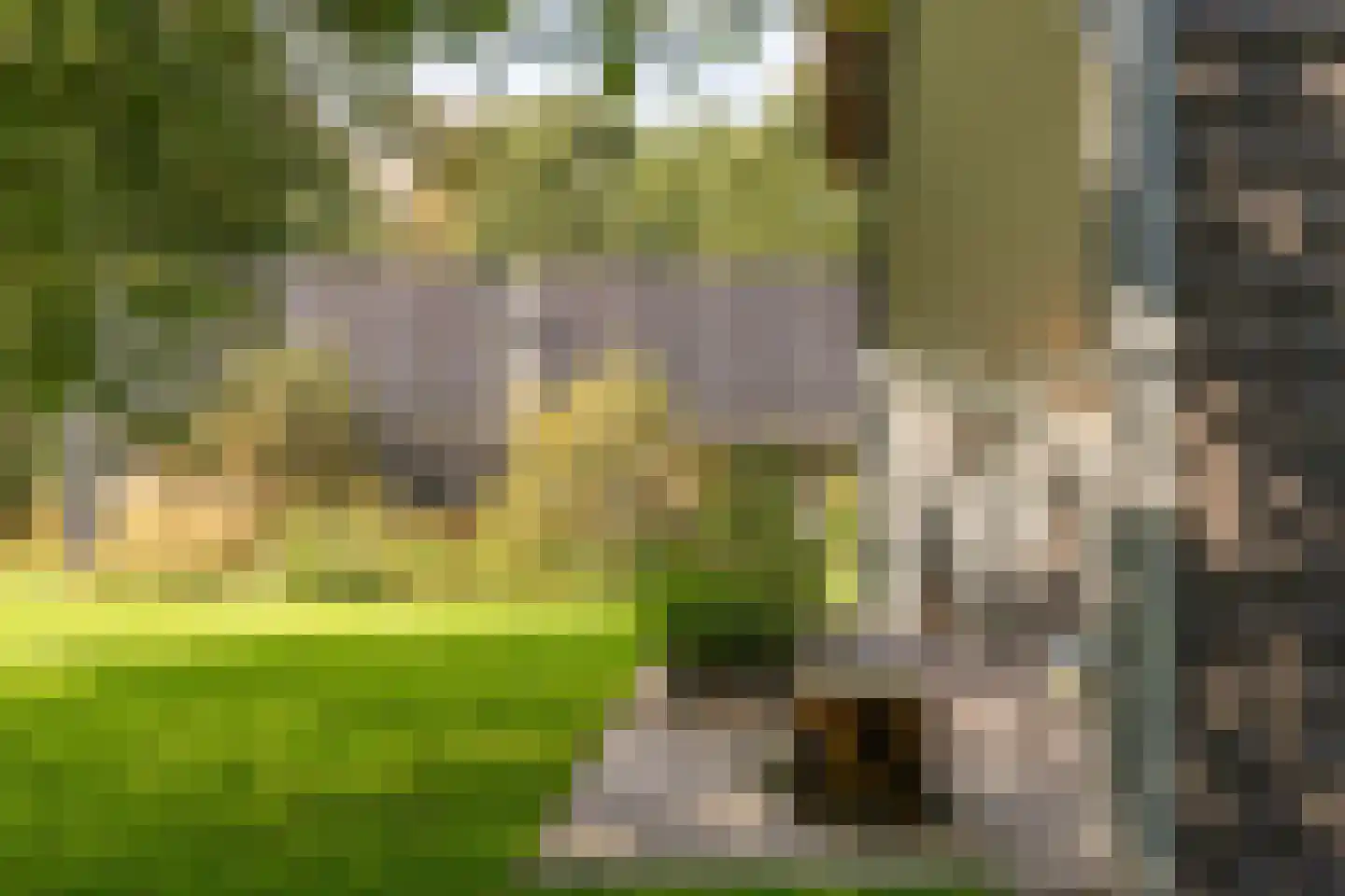 Liskesweg 2 A Nederweert thumbnail 59