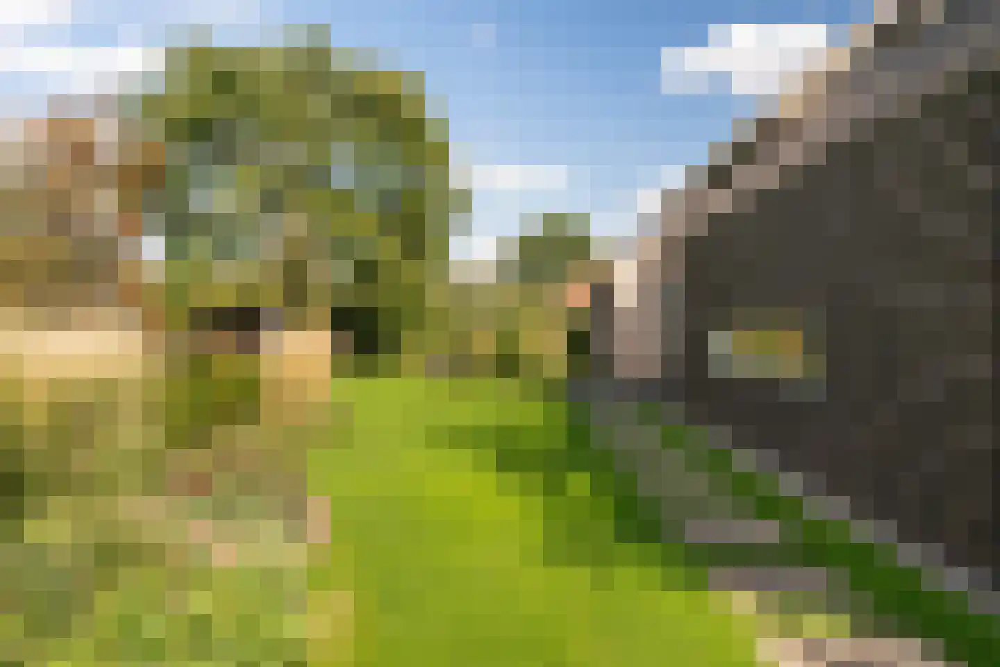 Liskesweg 2 A Nederweert thumbnail 60