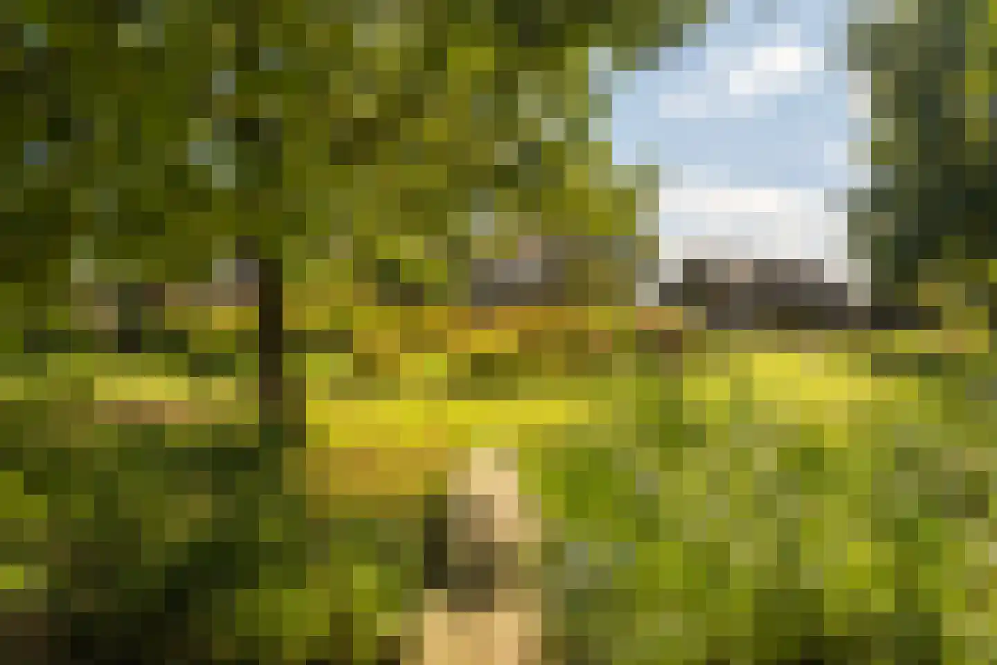 Liskesweg 2 A Nederweert thumbnail 63