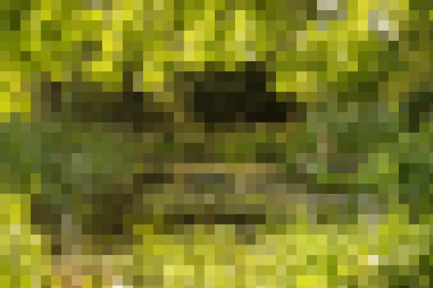 Liskesweg 2 A Nederweert thumbnail 64