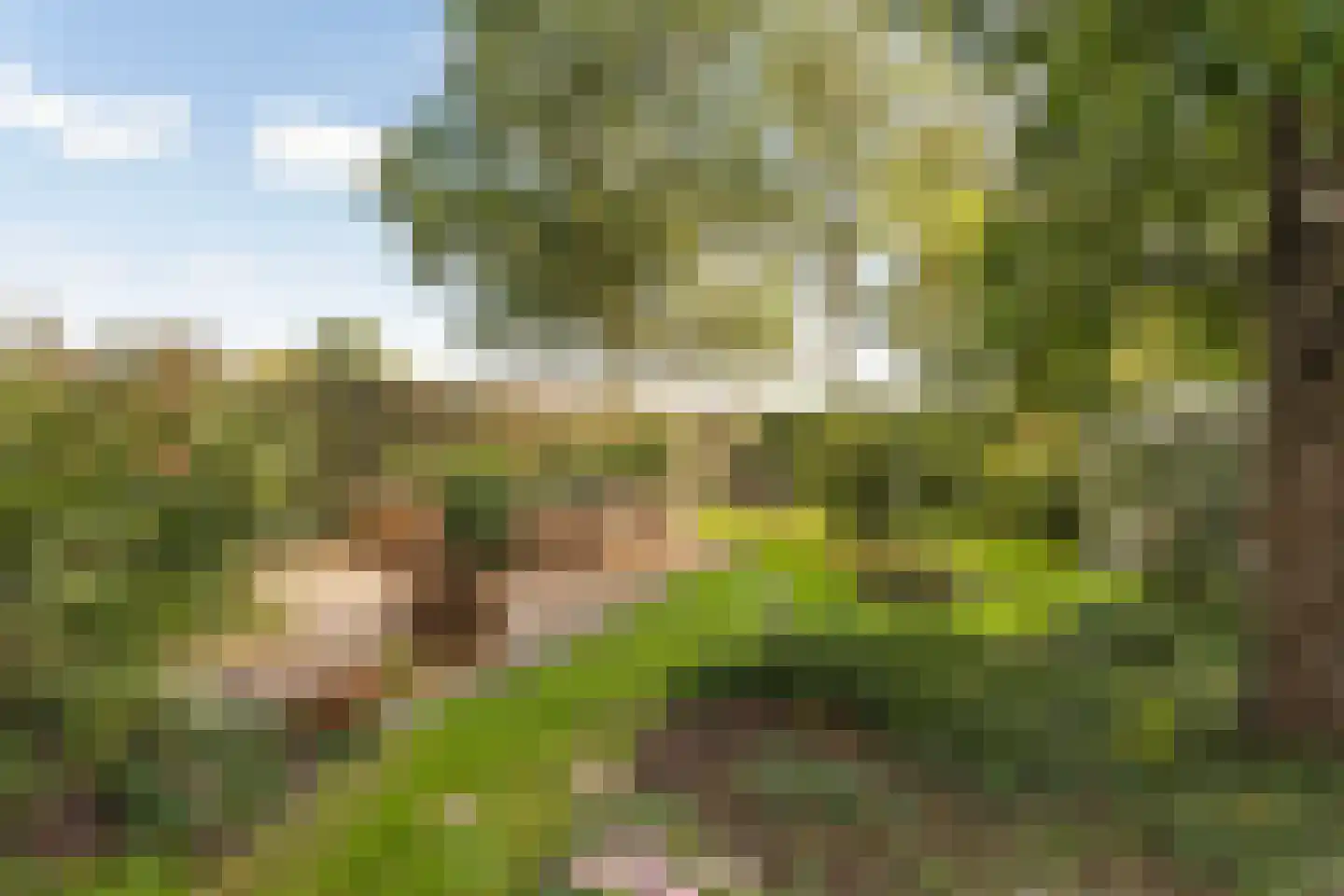 Liskesweg 2 A Nederweert thumbnail 65