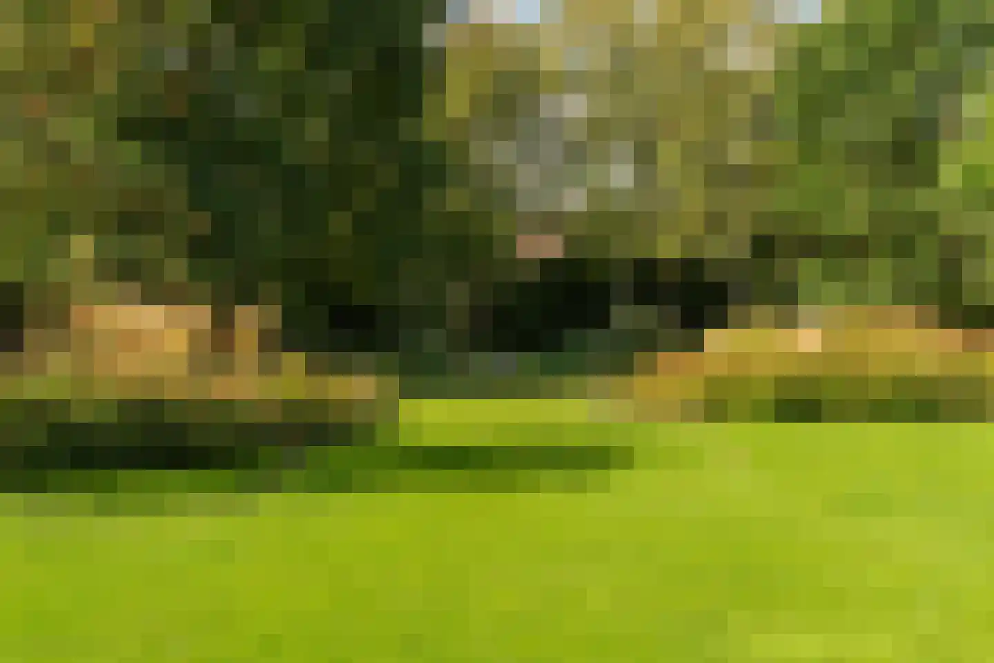 Liskesweg 2 A Nederweert thumbnail 66