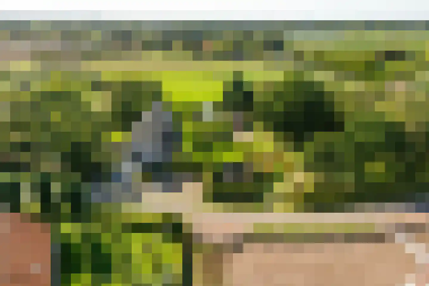 Liskesweg 2 A Nederweert thumbnail 67