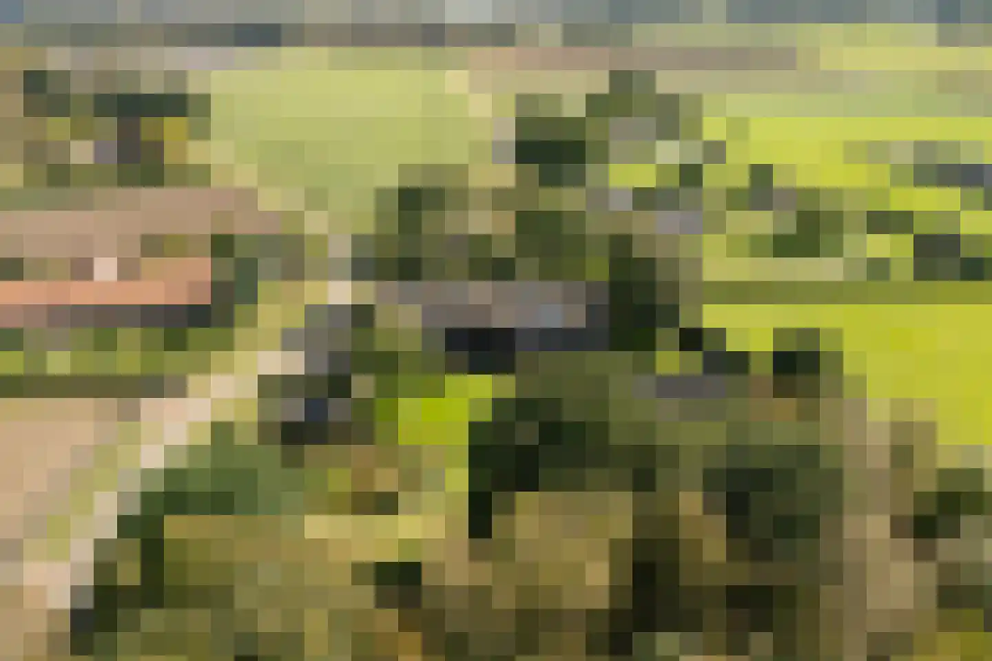 Liskesweg 2 A Nederweert thumbnail 68