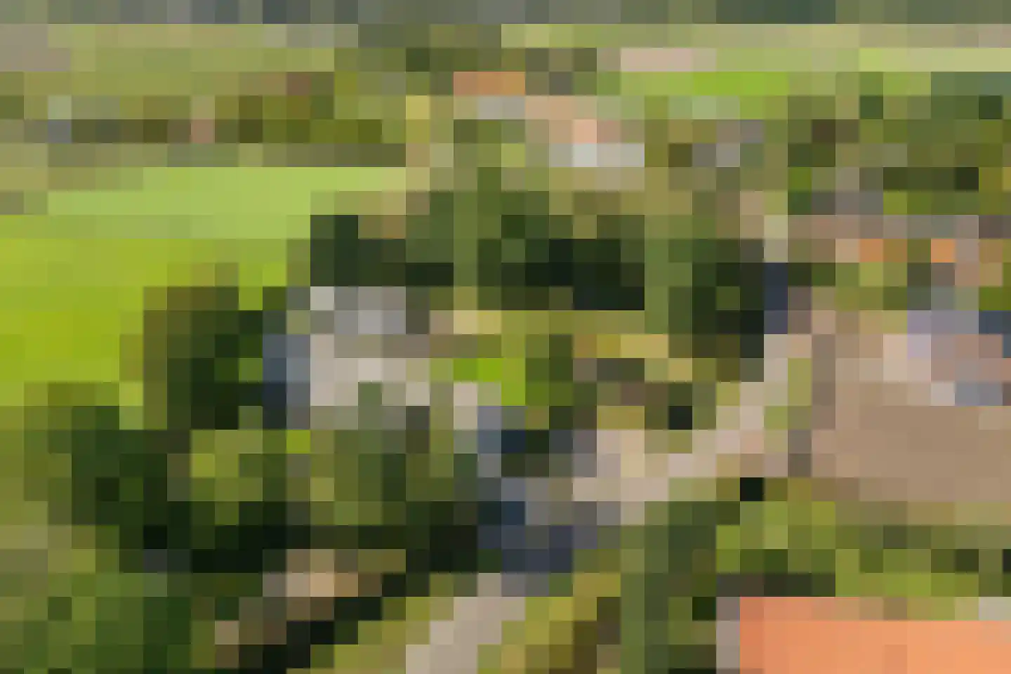 Liskesweg 2 A Nederweert thumbnail 69