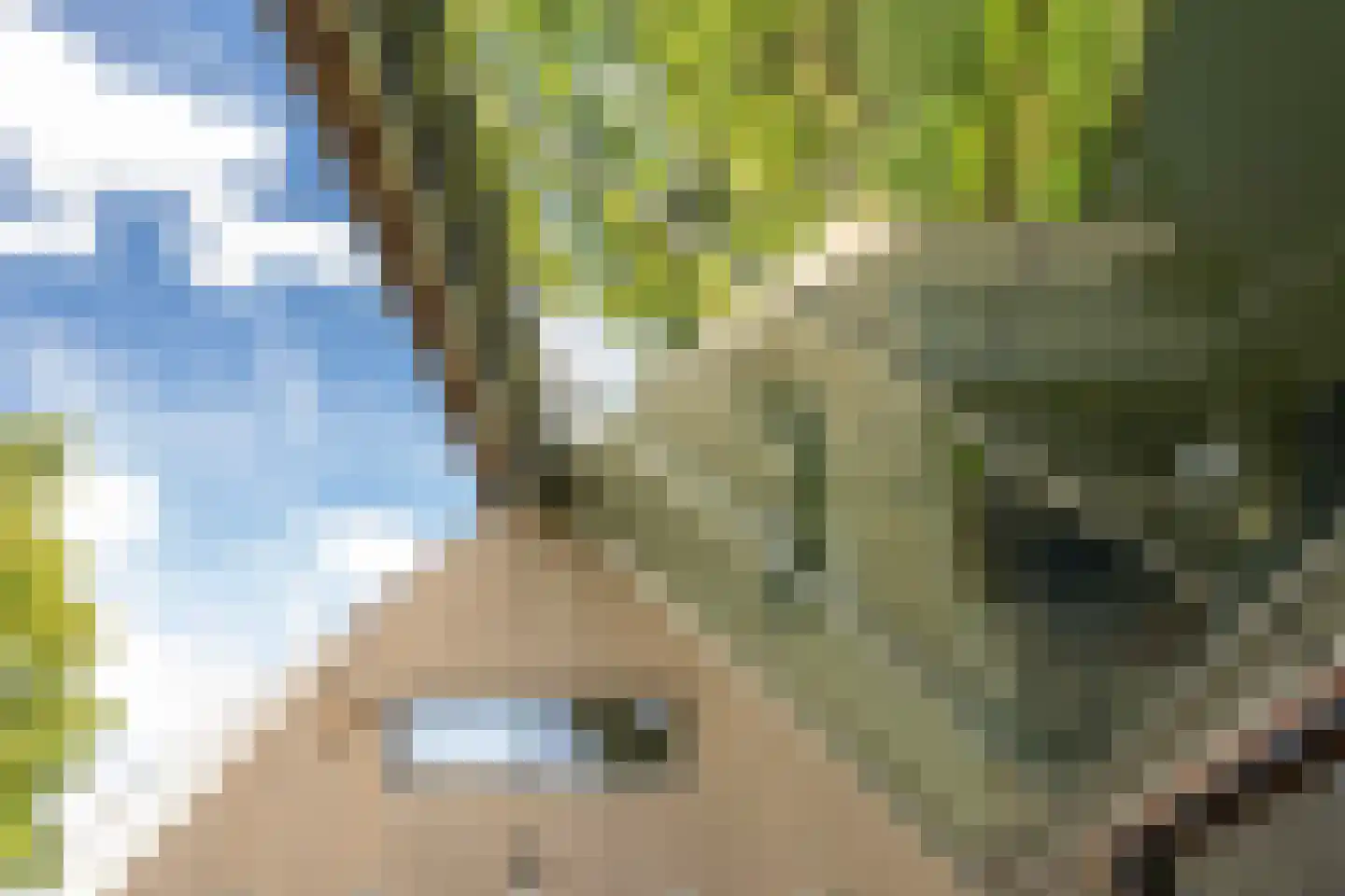 Liskesweg 2 A Nederweert thumbnail 8