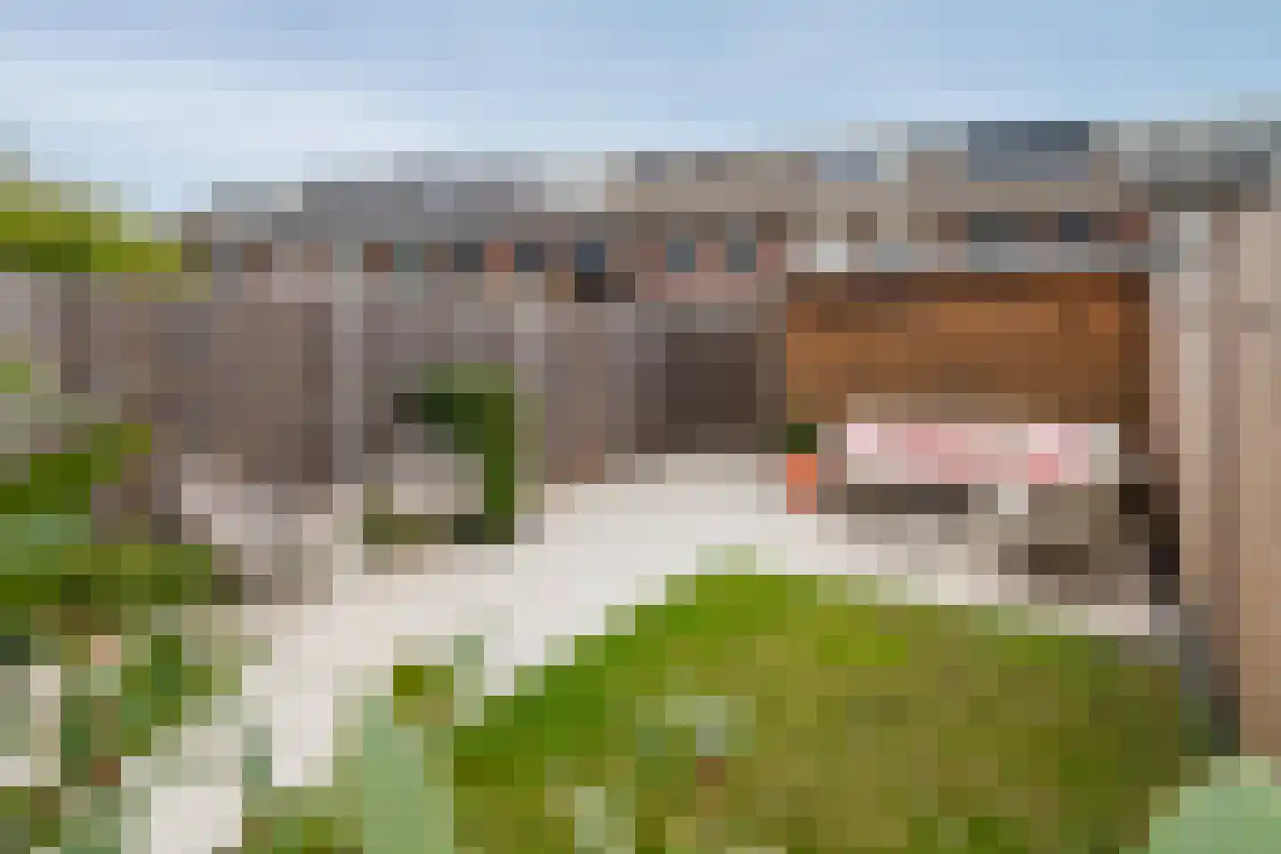 Lisleede 9 Barendrecht thumbnail 23