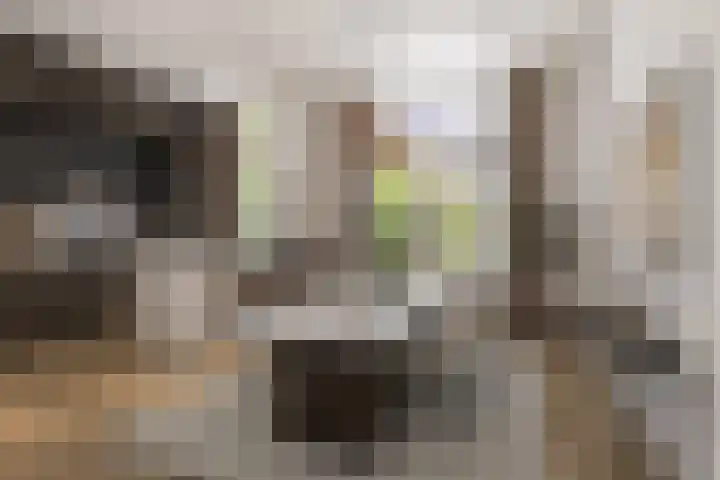 Lisplein 14 Rotterdam thumbnail 17