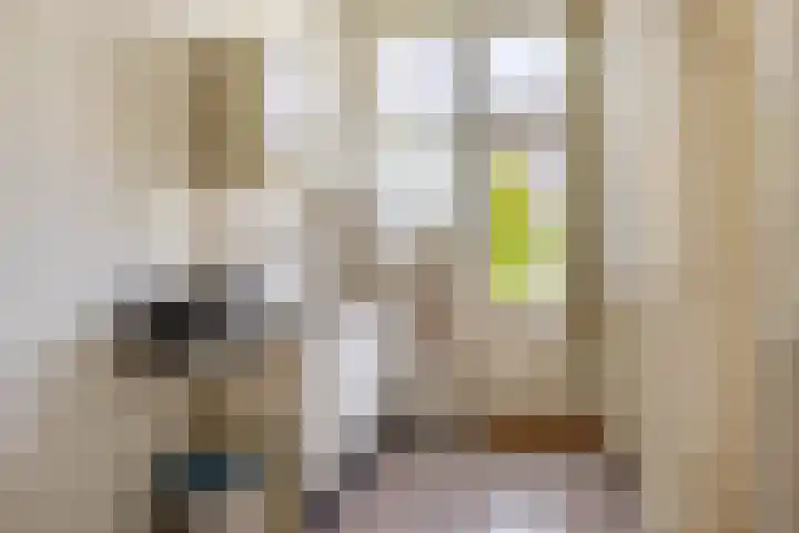 Lisplein 14 Rotterdam thumbnail 18