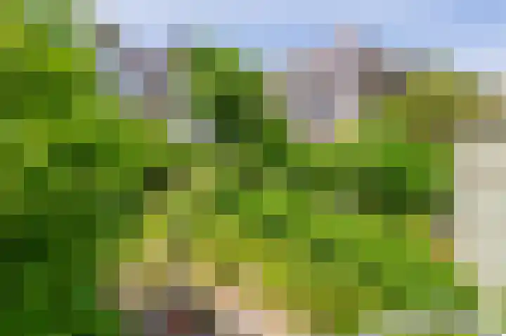 Lisplein 14 Rotterdam thumbnail 20