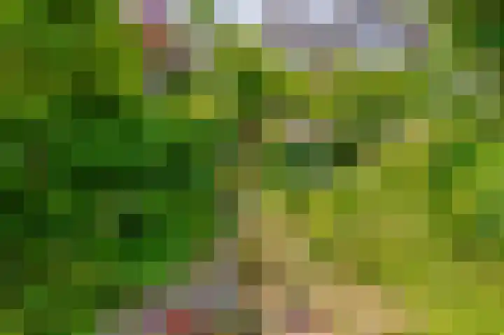 Lisplein 14 Rotterdam thumbnail 22