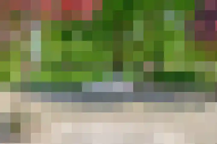 Lisplein 14 Rotterdam thumbnail 47