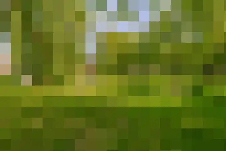 Lisplein 14 Rotterdam thumbnail 48
