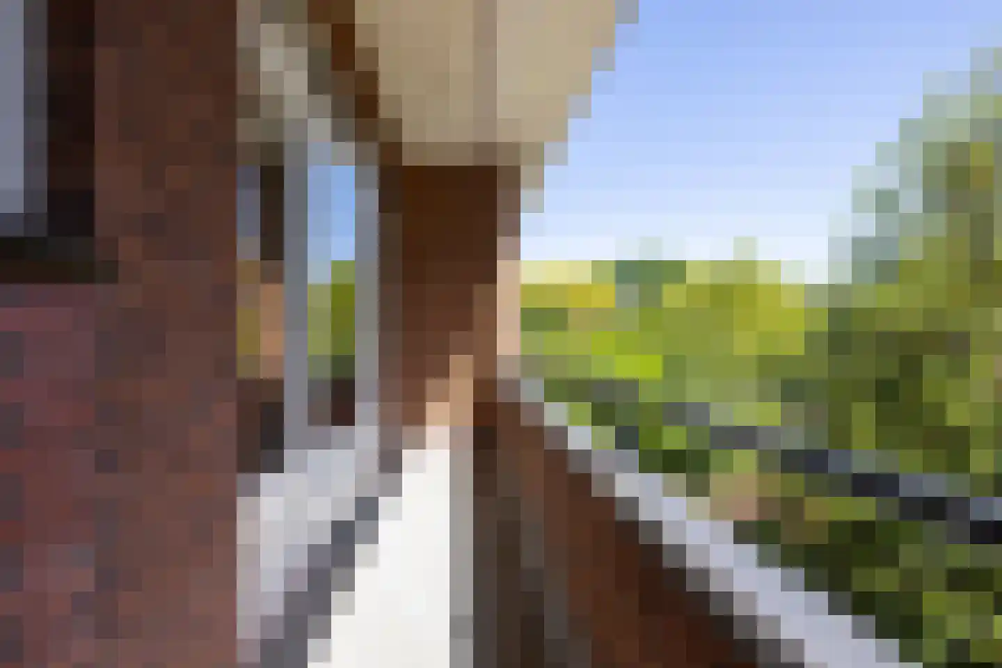 Lisplein 21 Rotterdam thumbnail 16