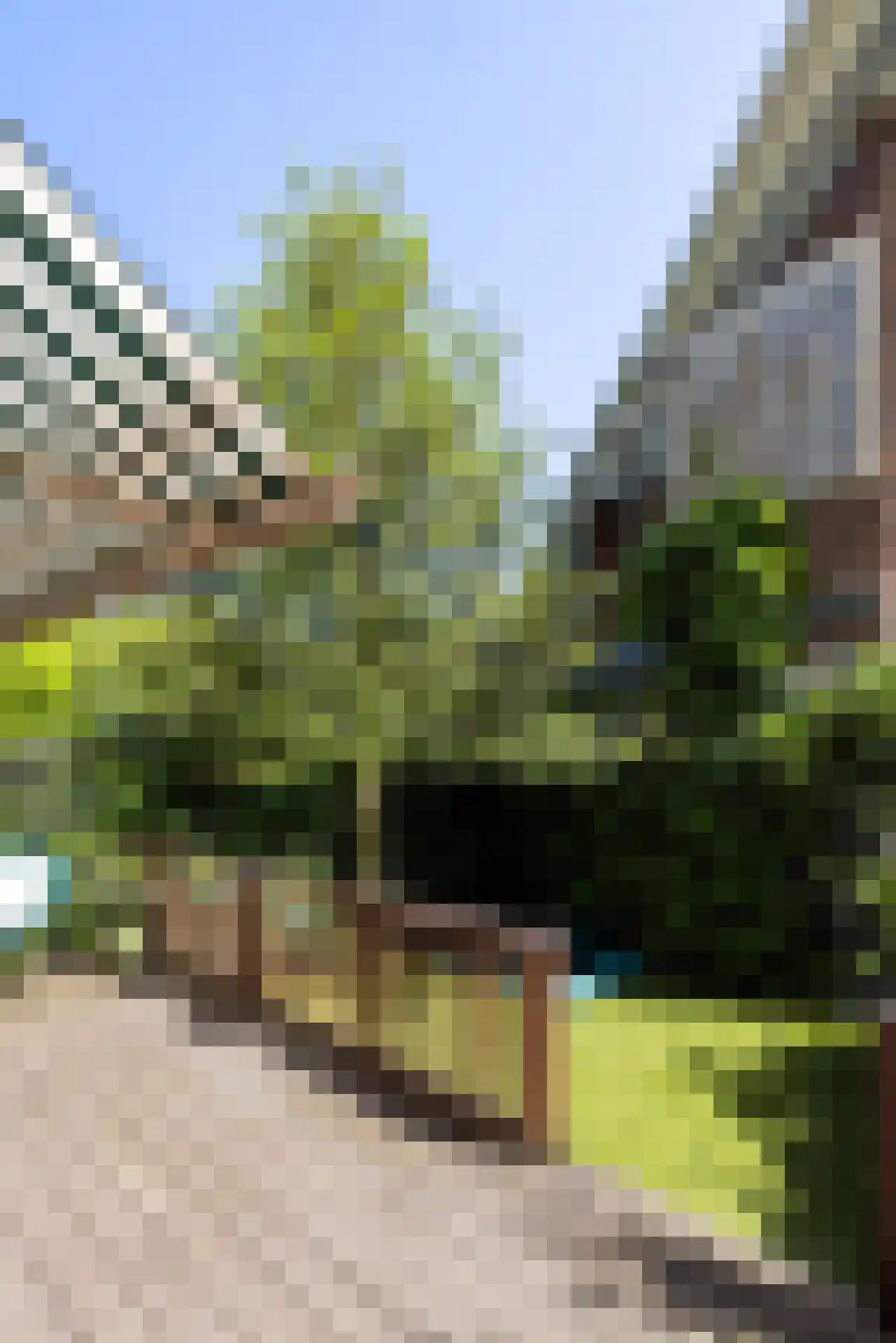 Lisplein 21 Rotterdam thumbnail 36
