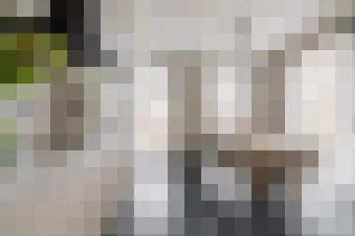 Lissabonhaven 22 Purmerend thumbnail 11