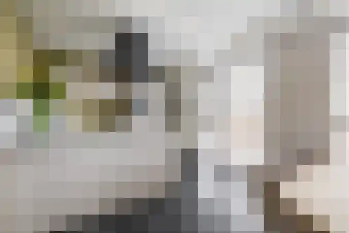 Lissabonhaven 22 Purmerend thumbnail 12