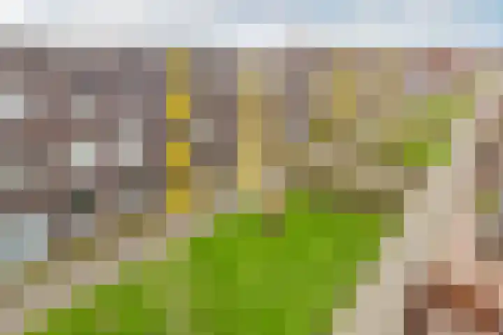 Lissabonhaven 22 Purmerend thumbnail 47