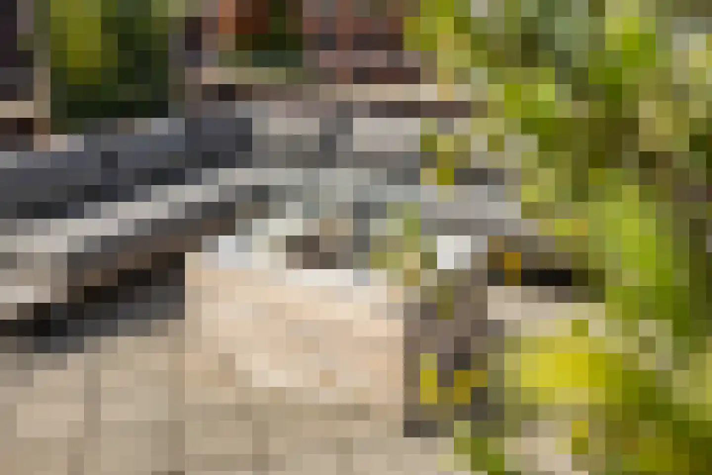 Lissabonstraat 1 d Groningen thumbnail 33