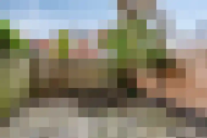 Lissabonstraat 27 Groningen thumbnail 26