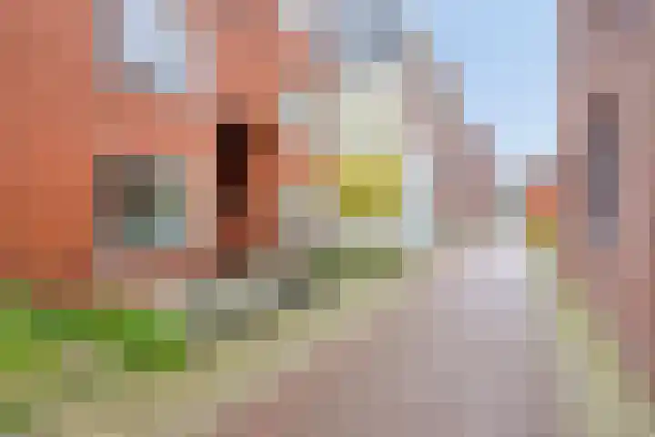 Lissabonstraat 27 Groningen thumbnail 29