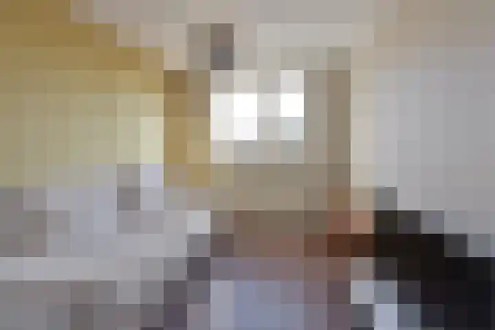 Lissenmeent 23 Hilversum thumbnail 13