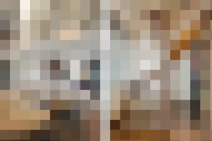Lissenvaart 129 Zoetermeer thumbnail 33
