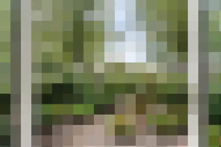 Lissenvaart 15 Zoetermeer thumbnail 21
