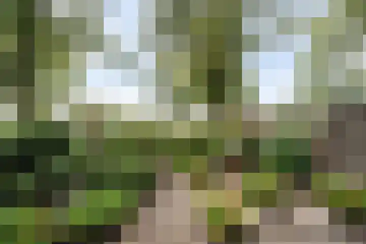 Lissenvaart 15 Zoetermeer thumbnail 22