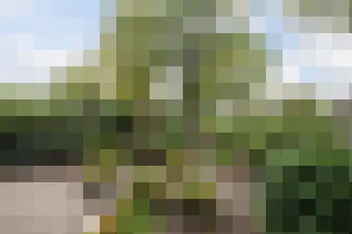 Lissenvaart 15 Zoetermeer thumbnail 4