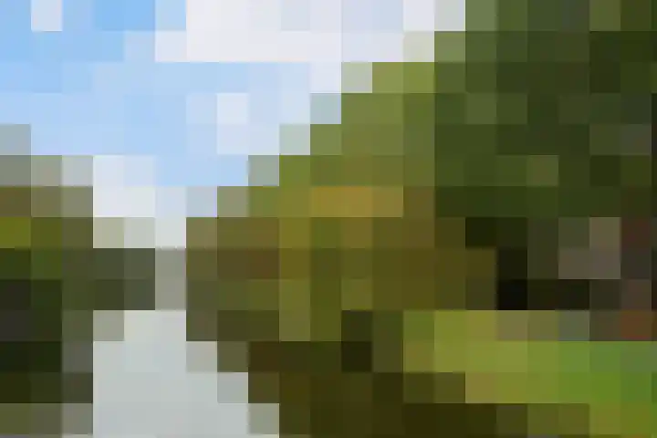 Lissenvaart 15 Zoetermeer thumbnail 48