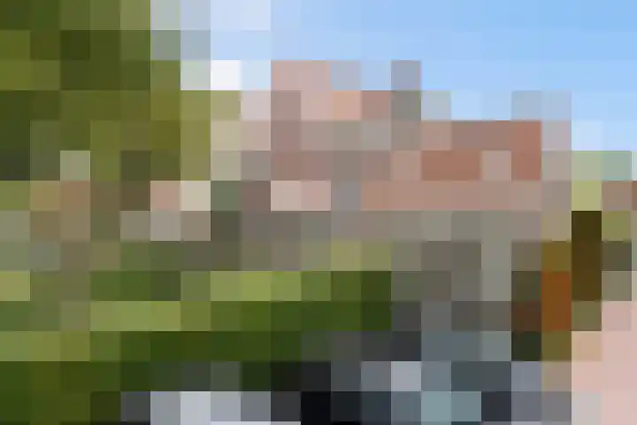 Lissenvaart 15 Zoetermeer thumbnail 6