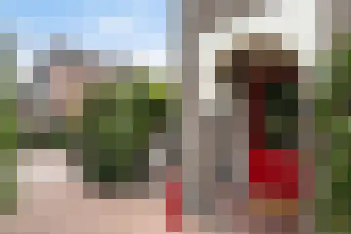 Lissenvaart 15 Zoetermeer thumbnail 9