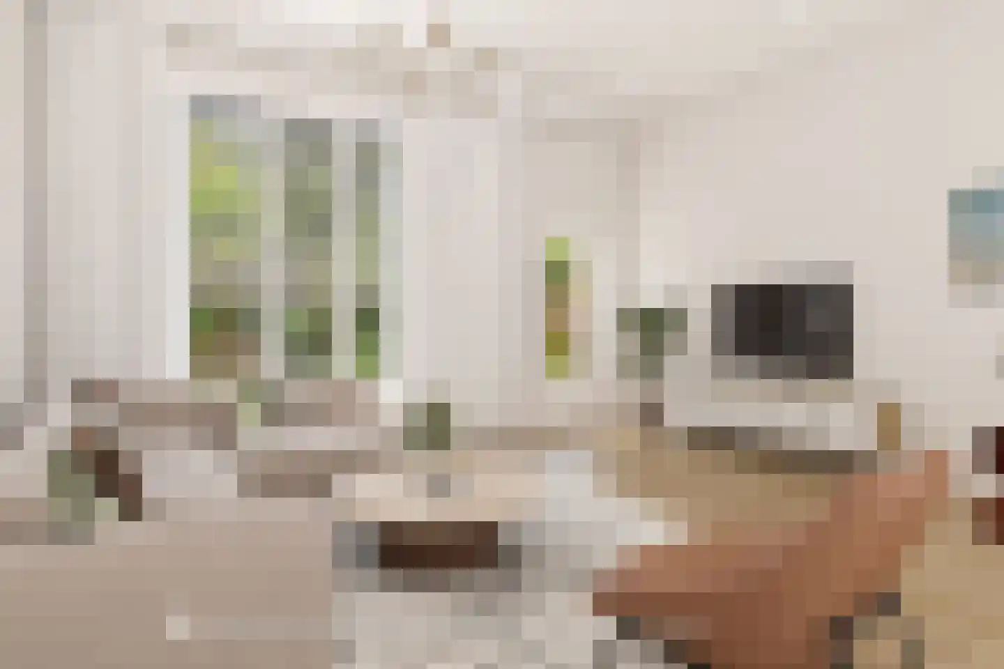 Lissenvaart 22 Zoetermeer thumbnail 17