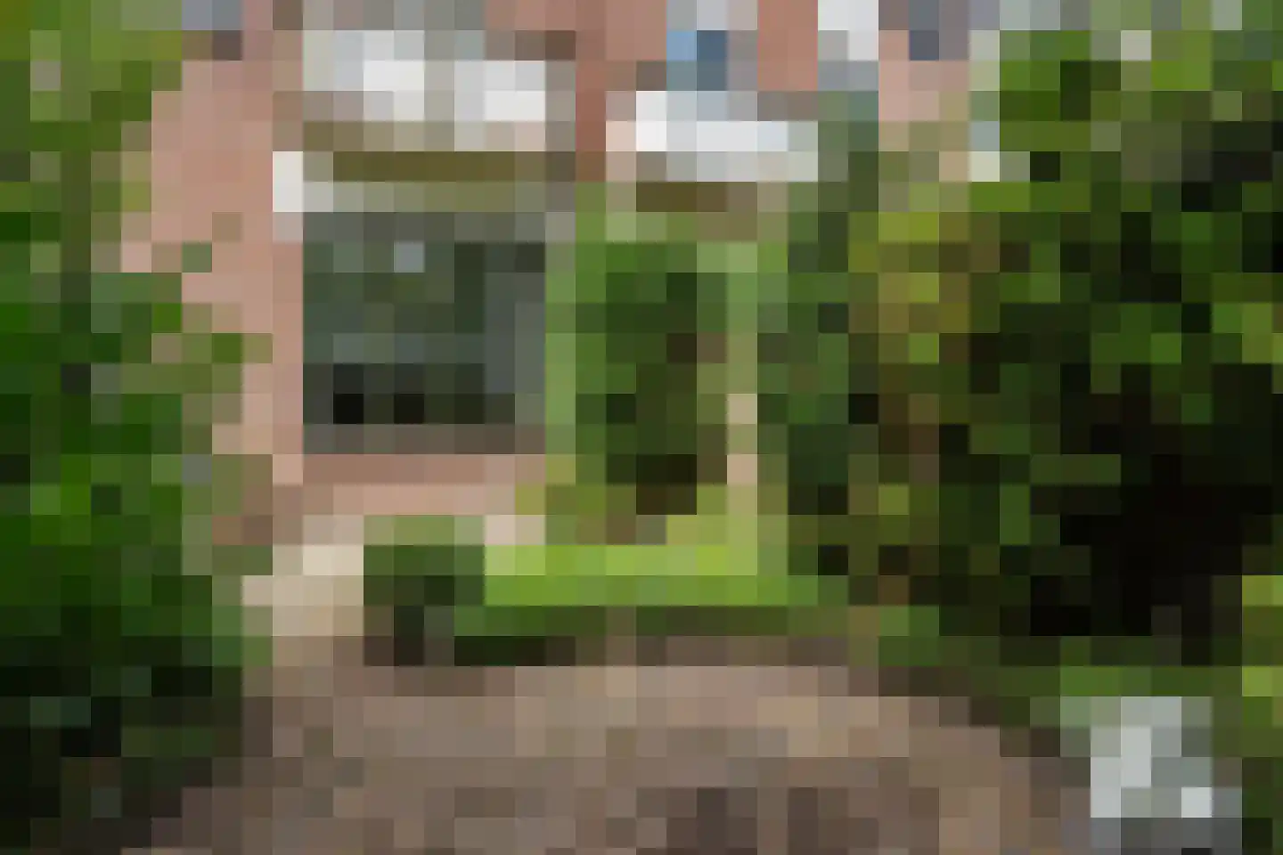 Lissenvaart 22 Zoetermeer thumbnail 25