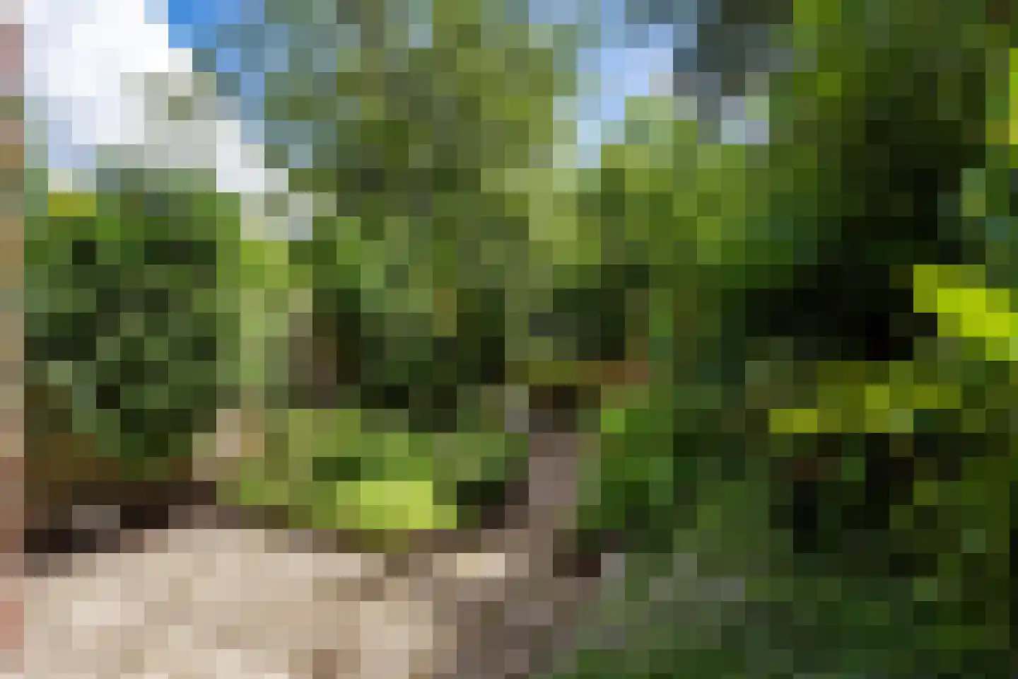 Lissenvaart 22 Zoetermeer thumbnail 4