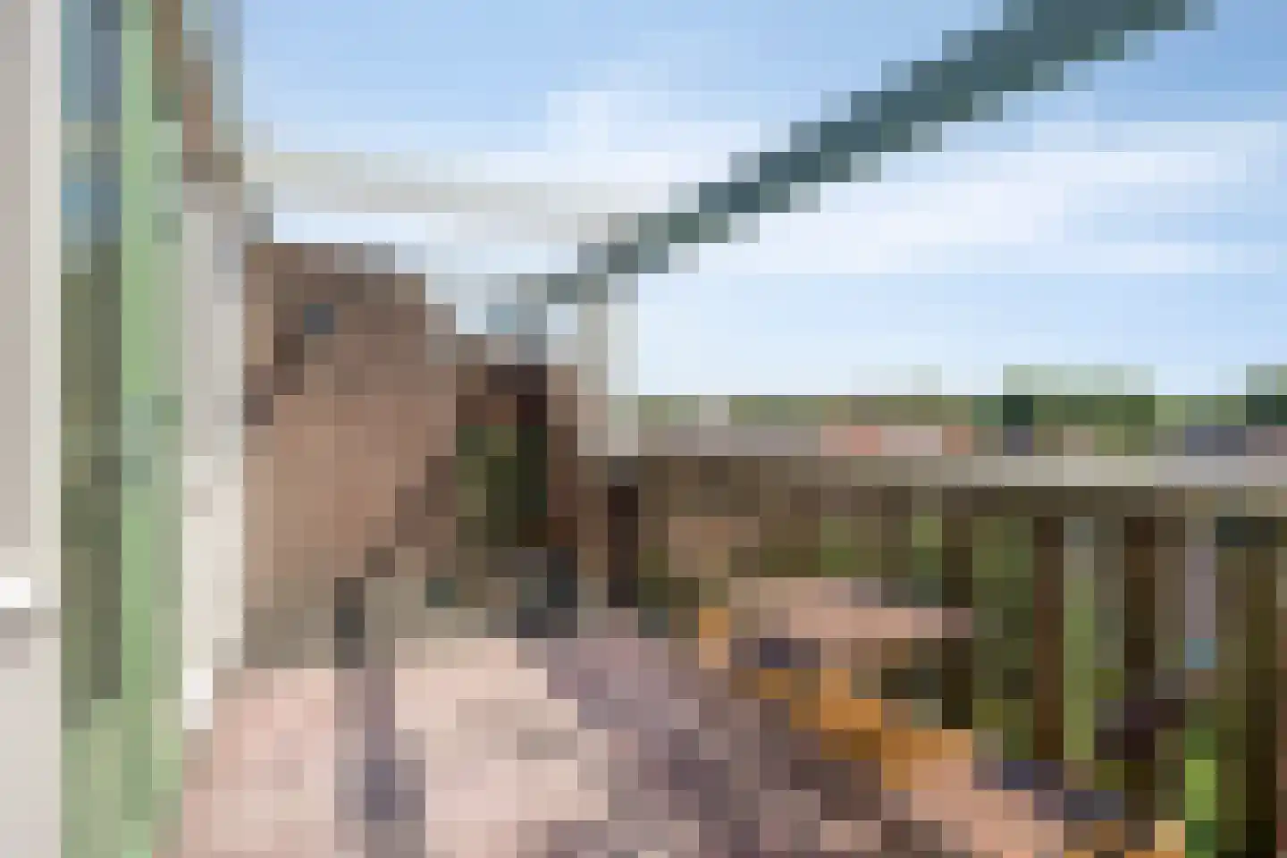Lissenvaart 65 Zoetermeer thumbnail 35
