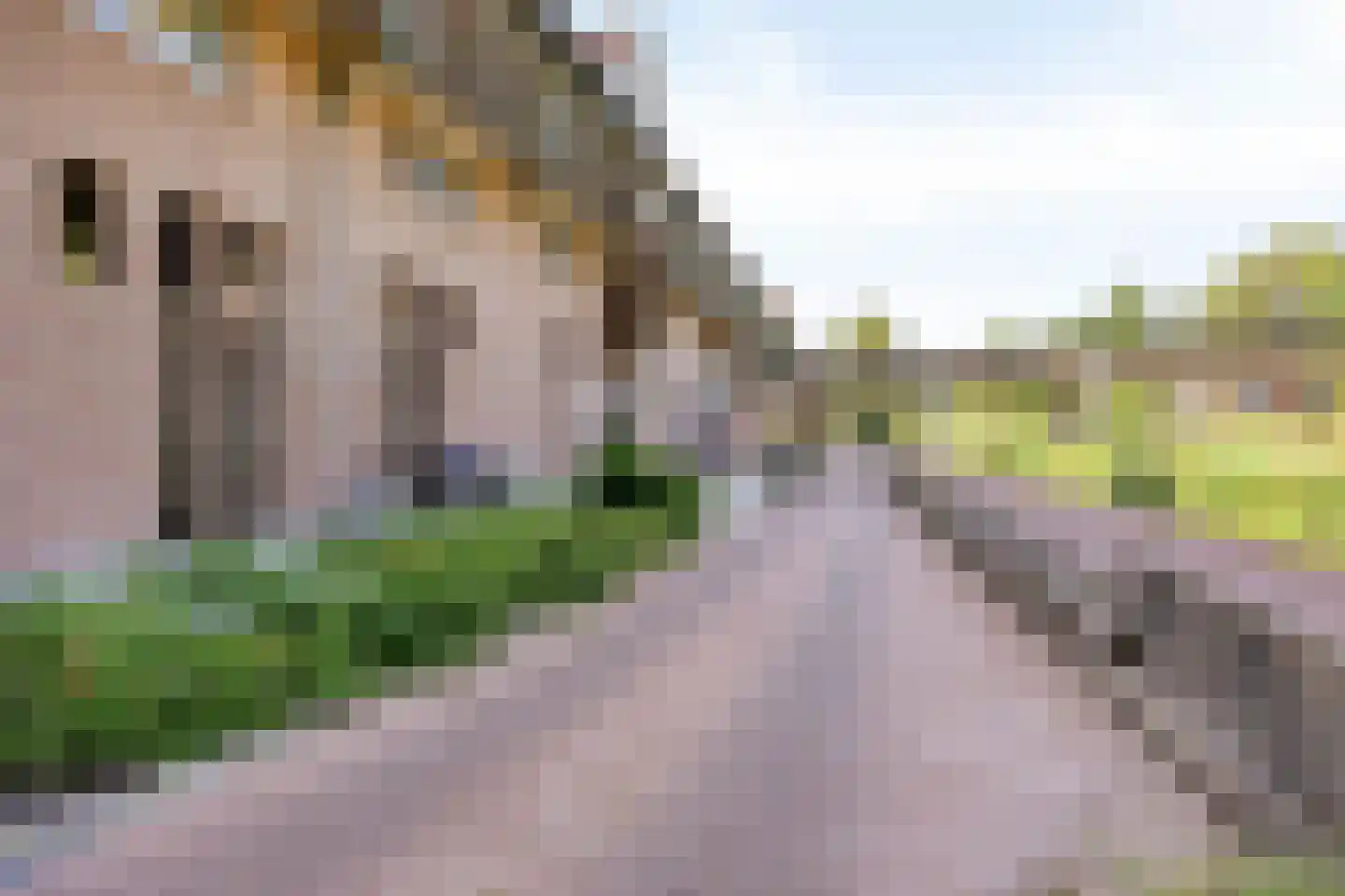 Lissenvaart 65 Zoetermeer thumbnail 43