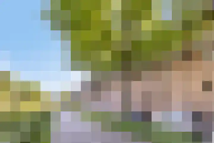Lissenvaart 73 Zoetermeer thumbnail 5