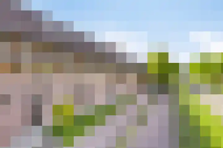 Lissenvaart 73 Zoetermeer thumbnail 6