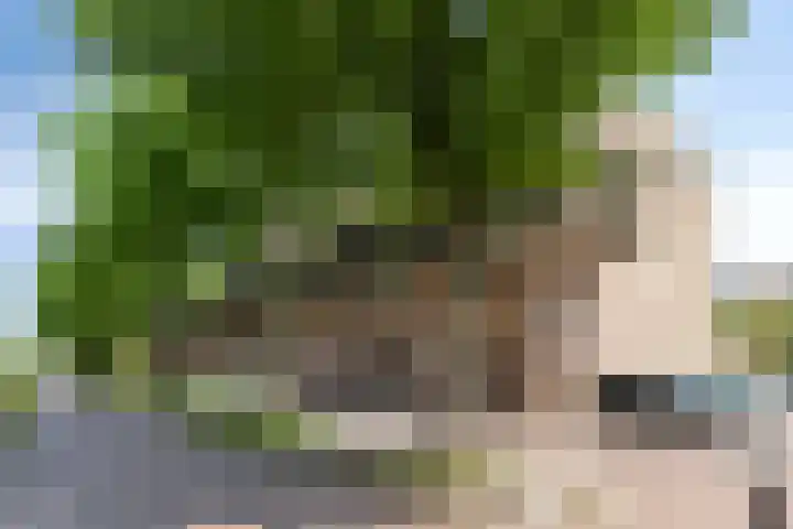 Lissenvaart 88 Zoetermeer