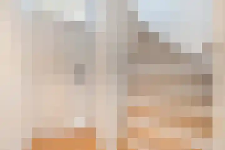 Lissenvaart 88 Zoetermeer thumbnail 19
