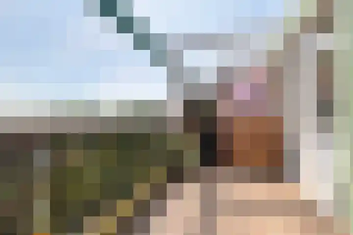 Lissenvaart 88 Zoetermeer thumbnail 33