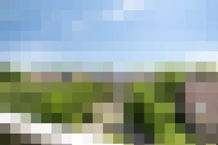 Lissenvaart 88 Zoetermeer thumbnail 7